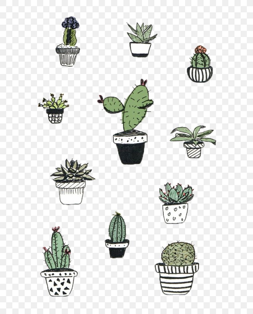 Cactaceae Cactus And Succulents Drawing Succulent Plant, PNG, 700x1018px, Cactaceae, Botanical Illustration, Cactus, Cactus And Succulents, Color Download Free