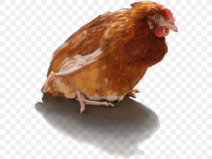 Chicken The Elder Scrolls V: Skyrim – Hearthfire Nexus Mods Egg, PNG, 558x615px, Chicken, Apiary, Beak, Bee, Beekeeping Download Free