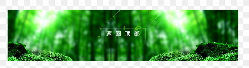 Poster, PNG, 2072x576px, Poster, Banner, Energy, Grass, Grass Family Download Free