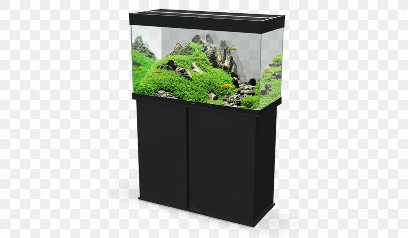 Aquariums Light Fishkeeping Filtro Biologico, PNG, 1200x700px, Aquarium, Aquariums, Beslistnl, Black, Coldwater Fish Download Free