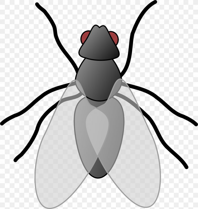 Beetle Insect Wing Clip Art, PNG, 1210x1280px, Beetle, Arthropod, Black And White, Drawing, Fictional Character Download Free