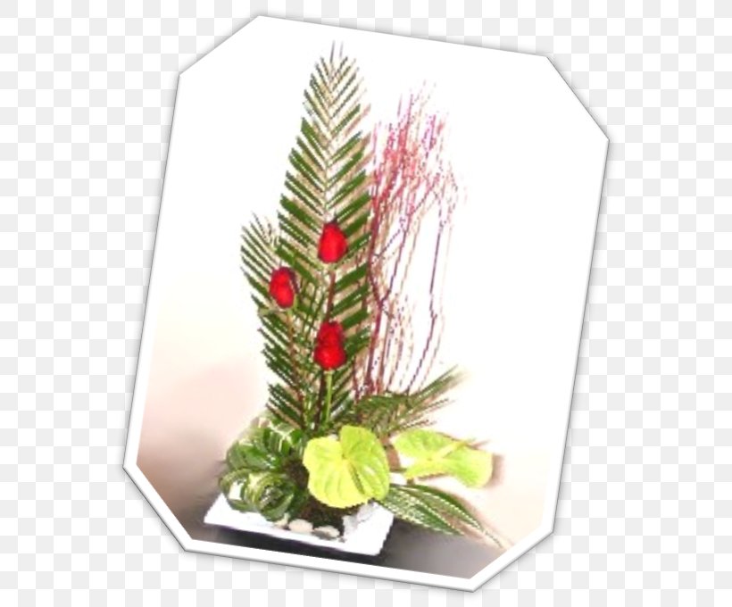 Floral Design Flowerpot, PNG, 579x680px, Floral Design, Christmas Ornament, Evergreen, Floristry, Flower Download Free
