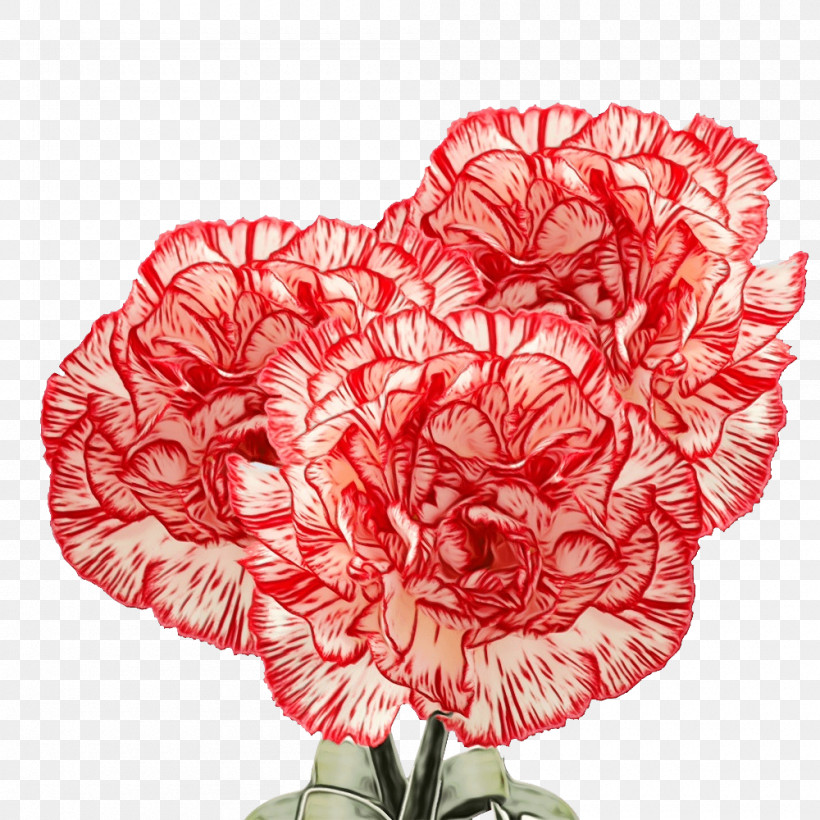 Floral Design, PNG, 1000x1000px, Watercolor, Carnation, Cut Flowers, Floral Design, Flower Download Free