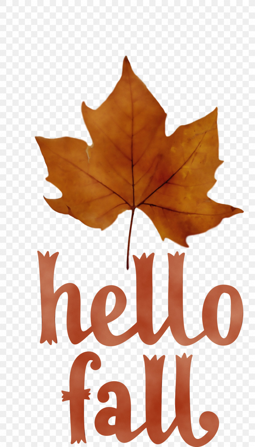 Leaf Maple Leaf / M Font Tree Meter, PNG, 1713x3000px, Hello Fall, Autumn, Biology, Fall, Leaf Download Free