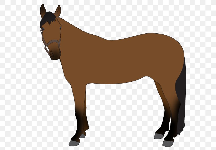 Mule Pony Stallion Mustang Horse Blanket, PNG, 647x571px, Mule, Animal Figure, Blanket, Bridle, Clothing Download Free