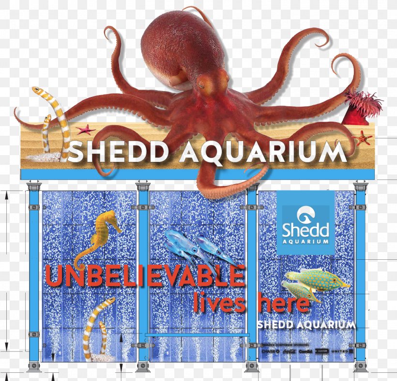 Octopus Shedd Aquarium Advertising Cephalopod, PNG, 1500x1438px, Octopus, Advertising, Cephalopod, Invertebrate, Marine Invertebrates Download Free