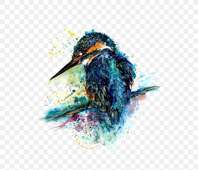 Watercolor Birds, PNG, 564x705px, Art, Animal, Artist, Beak, Bird Download Free