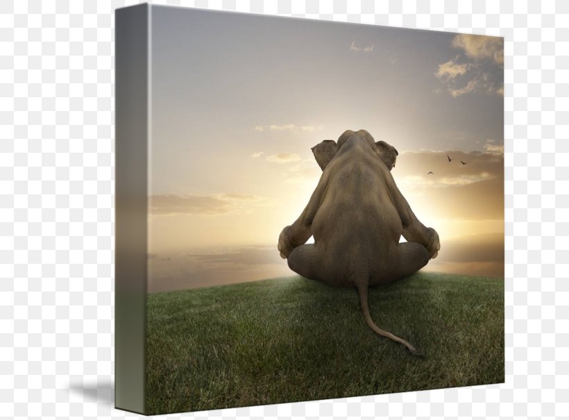 Yoga Lotus Position Elephantidae Meditation Asian Elephant, PNG, 650x605px, Yoga, Art, Asian Elephant, Canvas, Chakra Download Free