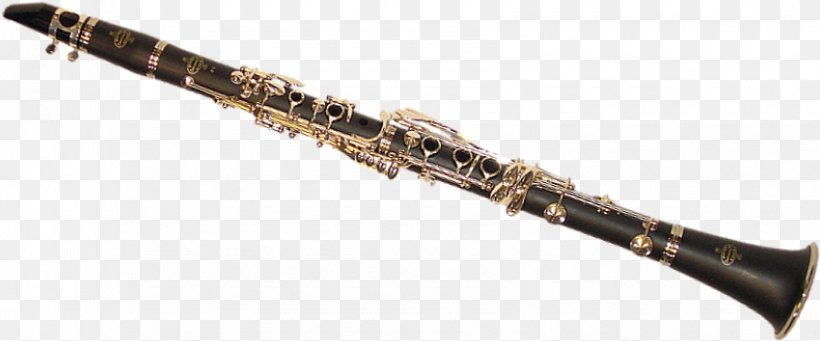Clarinet Western Concert Flute Musical Instruments, PNG, 850x354px, Watercolor, Cartoon, Flower, Frame, Heart Download Free