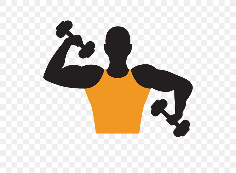 Dumbbell Bodybuilding Olympic Weightlifting, PNG, 640x599px, Dumbbell, Arm, Barbell, Bodybuilding, Dip Download Free