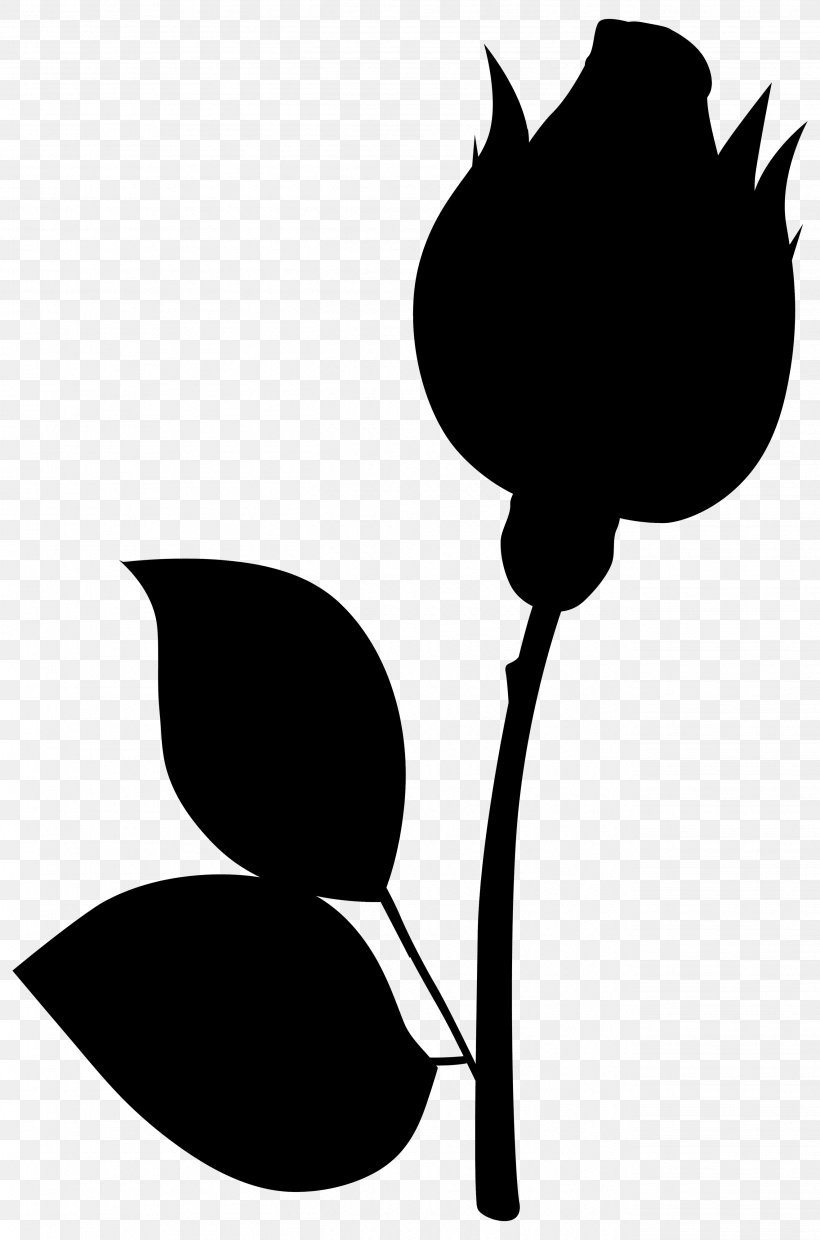 Clip Art Plant Stem Flower Leaf Plants, PNG, 2644x4000px, Plant Stem, Blackandwhite, Botany, Cotton, Cotton Balls Download Free