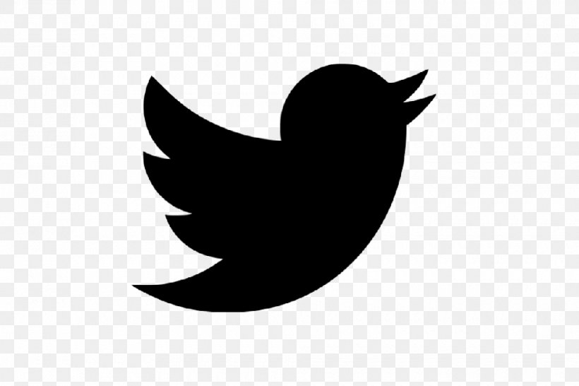 Logo Social Media, PNG, 980x653px, Logo, Beak, Bird, Black, Black And White Download Free