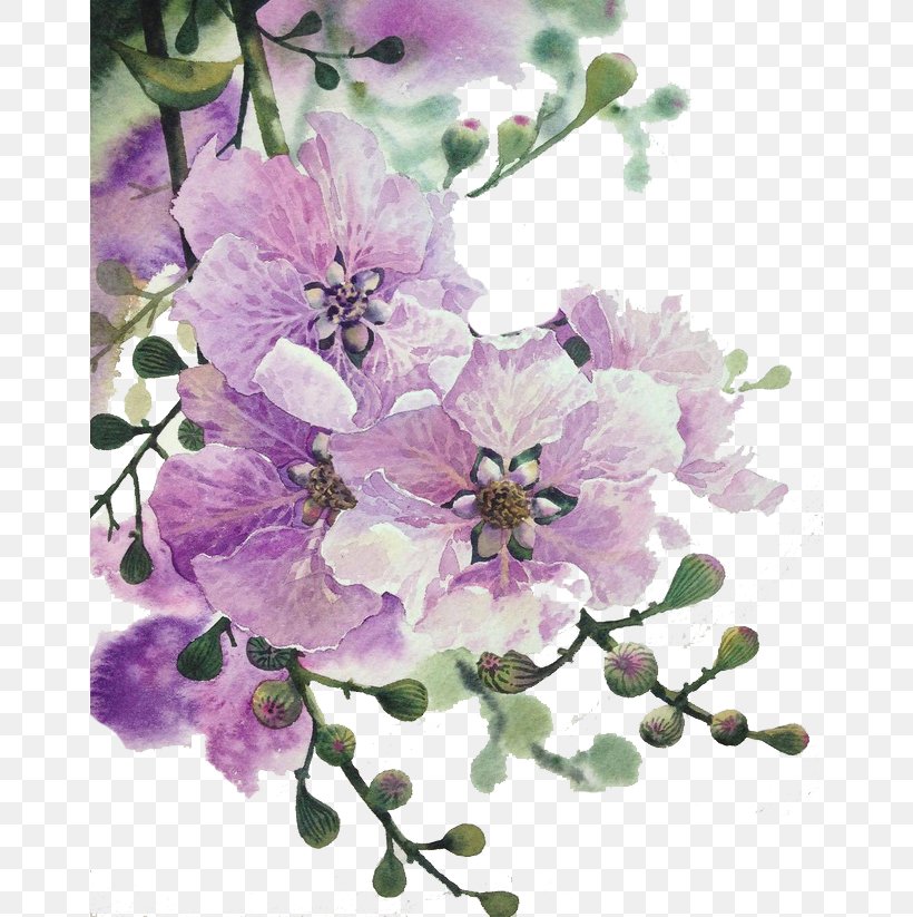Floral Design Flower Purple Wuhan Shipbuilding Engineering Academy, PNG, 658x823px, Flower, Blossom, Branch, Cherry Blossom, Color Download Free