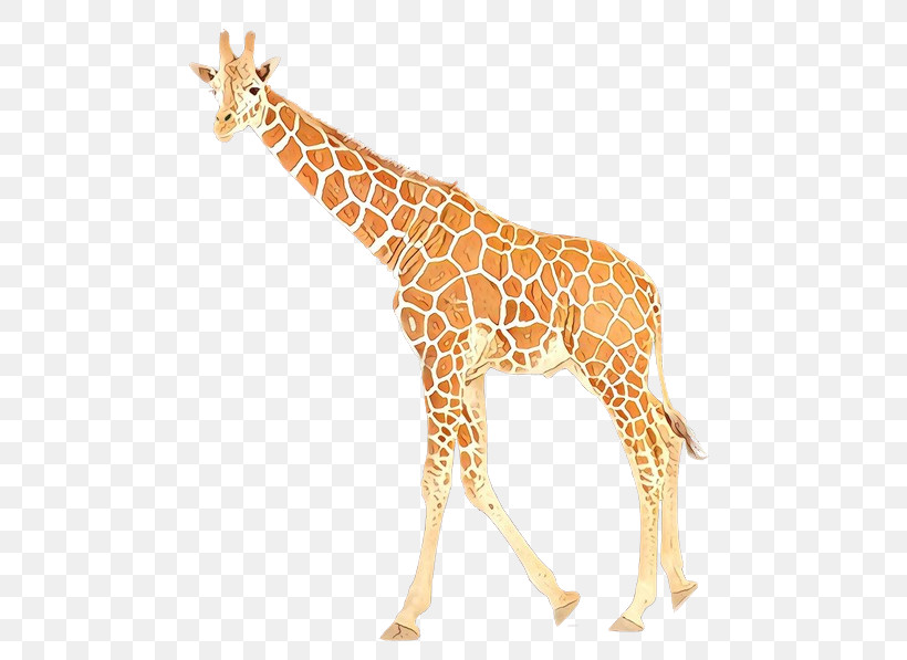 Giraffe Giraffidae Animal Figure Wildlife Fawn, PNG, 500x597px, Giraffe, Adaptation, Animal Figure, Fawn, Giraffidae Download Free