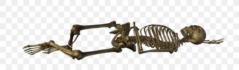 Gothic Architecture Gothic Art Skeleton Skull, PNG, 1429x419px, Gothic Architecture, Arch, Architectural Style, Auto Part, Blog Download Free