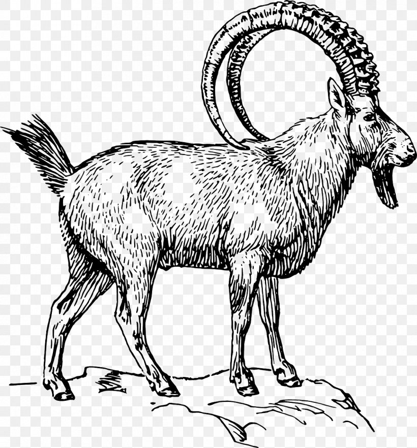 Alpine Ibex Goat Clip Art Sheep Openclipart, PNG, 1190x1280px, Alpine Ibex, Animal Figure, Black And White, Cattle Like Mammal, Cow Goat Family Download Free