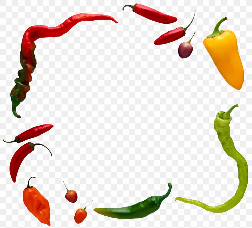 Chili Pepper Chili Con Carne Smoothie Bell Pepper Drink, PNG, 3088x2796px, Chili Pepper, Artwork, Bell Pepper, Bell Peppers And Chili Peppers, Berry Download Free