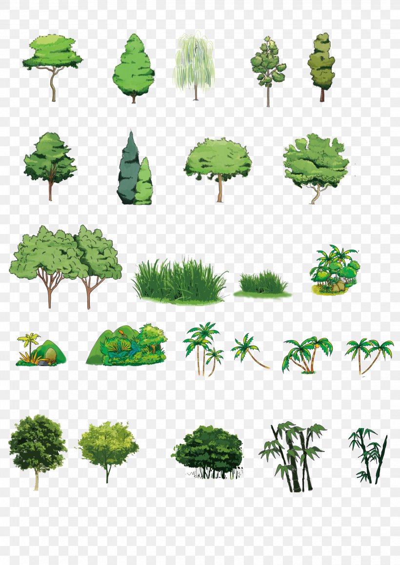 Download Tree Computer File, PNG, 2480x3508px, Tree, Branch, Computer Program, Filename Extension, Flora Download Free