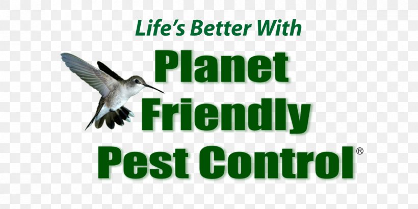 Planet Friendly Pest Control Beak Business, PNG, 1200x600px, Pest Control, Advertising, Alexandria, Beak, Bird Download Free