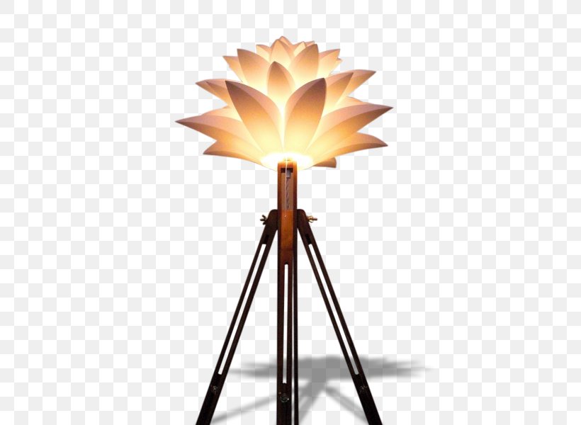 Product Design Energy Lighting, PNG, 600x600px, Energy, Lamp, Light Fixture, Lighting, Lighting Accessory Download Free