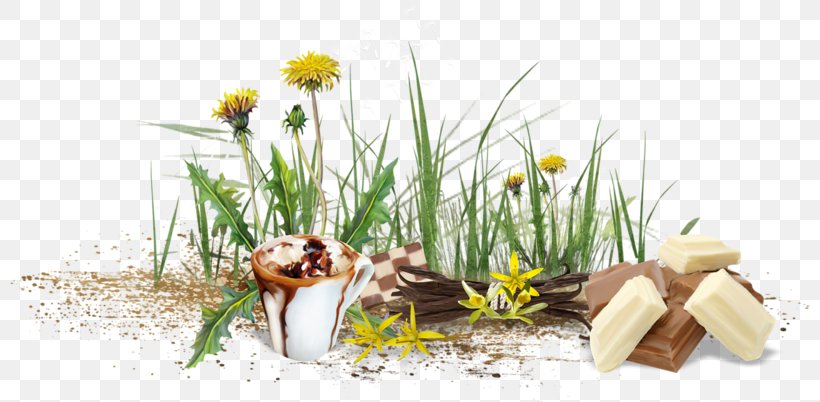 Dandelion Pissenlit Flower Vecteur, PNG, 800x402px, Dandelion, Chocolate, Cut Flowers, Flora, Floral Design Download Free