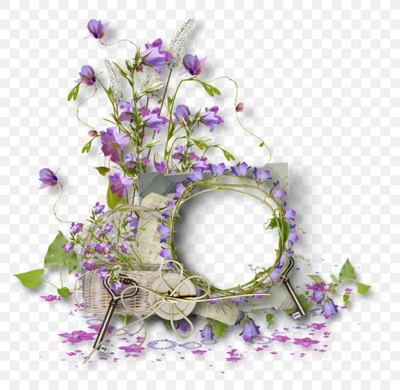 Flower Floral Design Photography, PNG, 800x800px, Flower, Bicycle Frames, Cut Flowers, Flora, Floral Design Download Free
