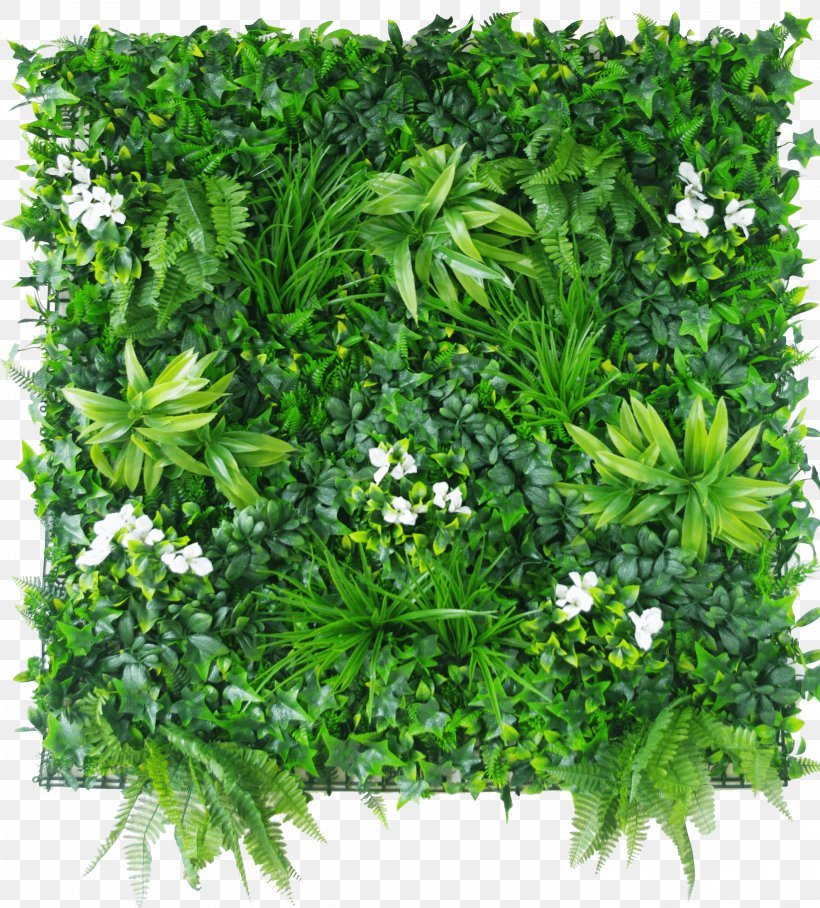 Green Wall Designer Vertical Gardens Hedge, PNG, 2796x3097px, Green Wall, Balcony, Culantro, Designer Vertical Gardens, Fence Download Free