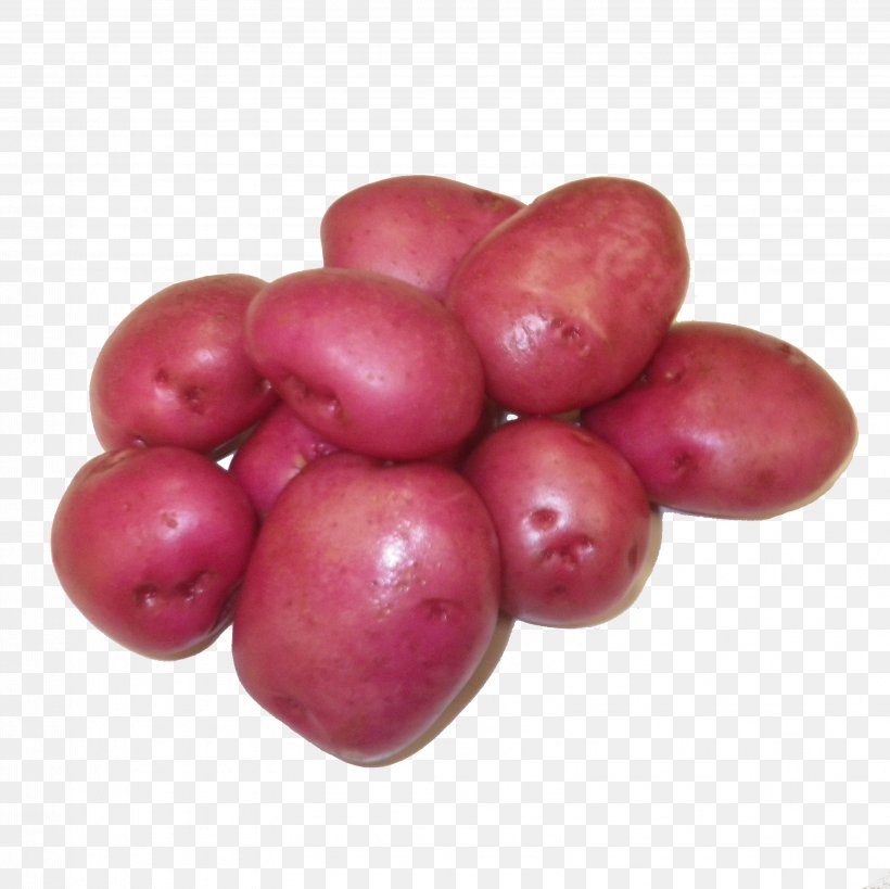 Potato Cranberry Red Pontiac Food Izambane, PNG, 3216x3216px, Potato, Berry, Citrus, Cranberry, Dish Download Free