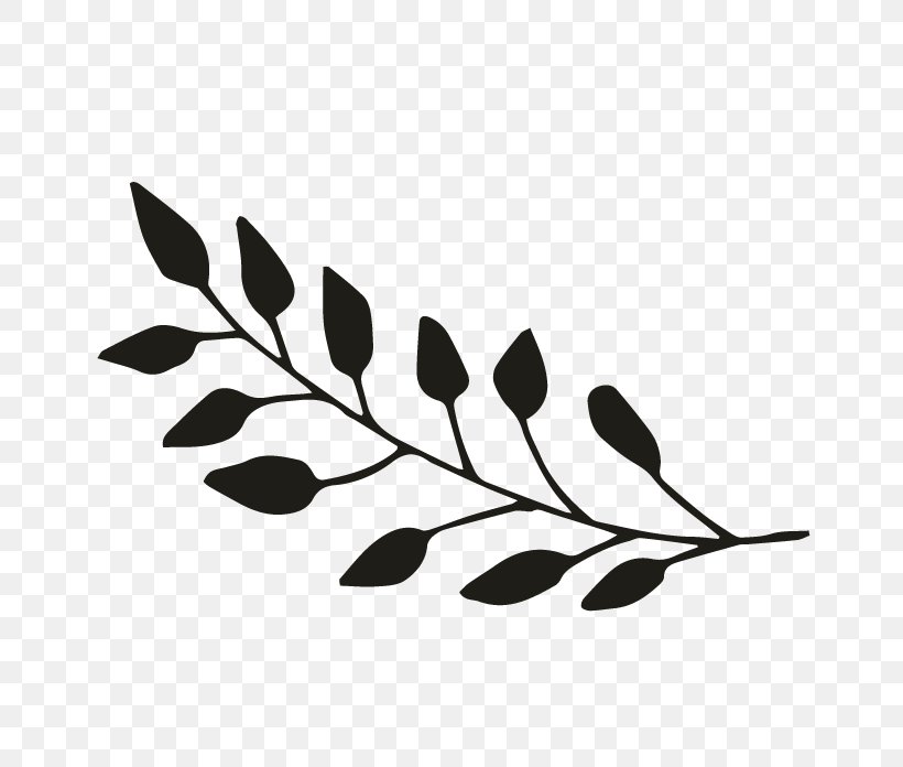 Black And White Monochrome Photography Twig, PNG, 696x696px, Black And White, Black, Branch, Leaf, Monochrome Download Free
