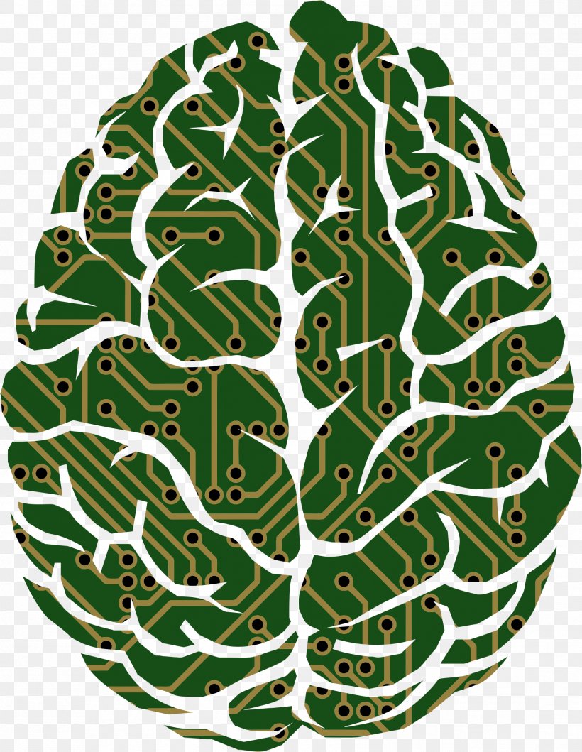 Brain Neuroscience Artificial Intelligence, PNG, 1782x2302px, Brain, Artificial Intelligence, Cortex, Dots Per Inch, Leaf Download Free