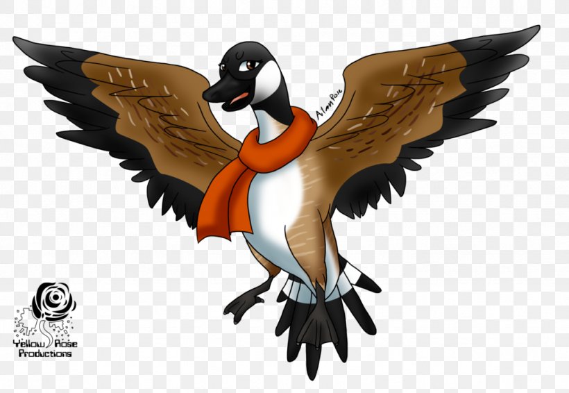 Duck Canada Goose Canada Goose Bird, PNG, 1024x708px, Duck, Anatidae, Beak, Bird, Canada Download Free