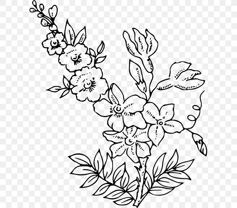Flower Clip Art, PNG, 615x720px, Flower, Art, Black And White, Branch, Coloring Book Download Free