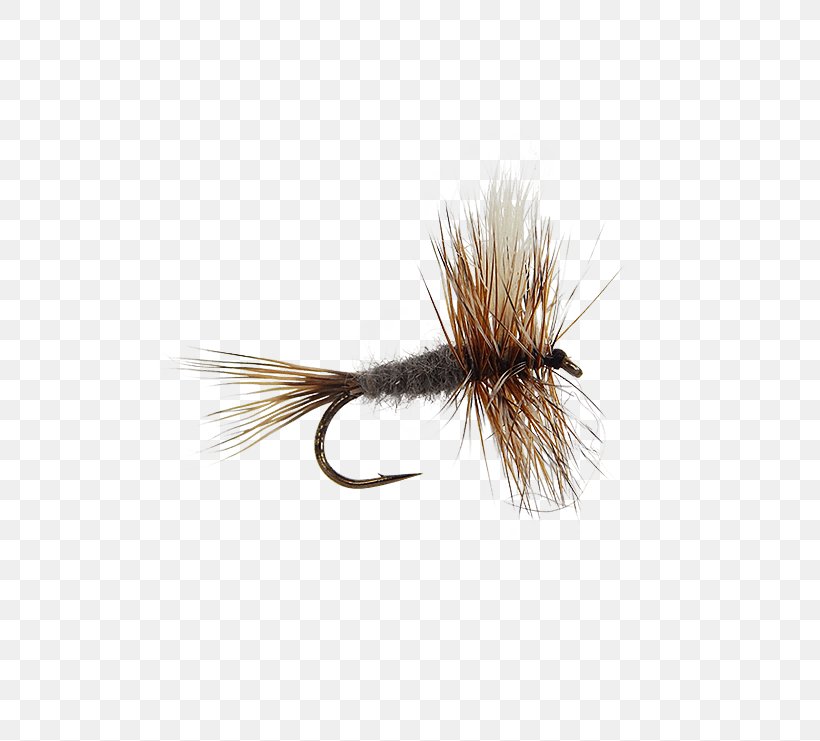 Artificial Fly Insect Wing Nymph, PNG, 555x741px, Artificial Fly, Fishing Bait, Fly, Fly Fishing, Hair Download Free