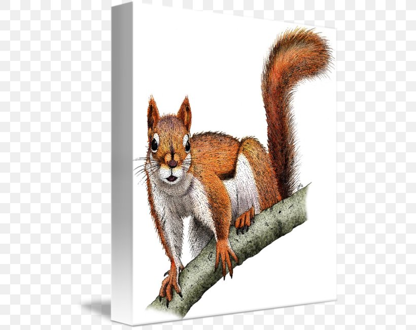 Chipmunk Red Fox American Red Squirrel Fox Squirrel, PNG, 520x650px, Chipmunk, American Red Squirrel, Art, Artist, Bird Feeders Download Free