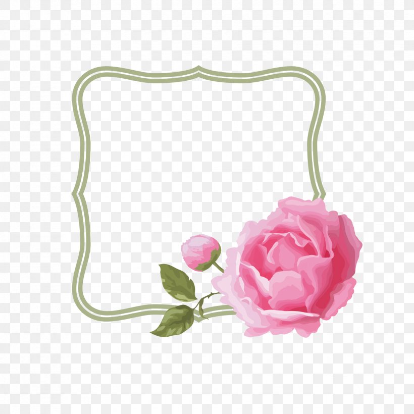 Rose Flower Download, PNG, 1654x1654px, Rose, Coreldraw, Cut Flowers, Flower, Flowering Plant Download Free