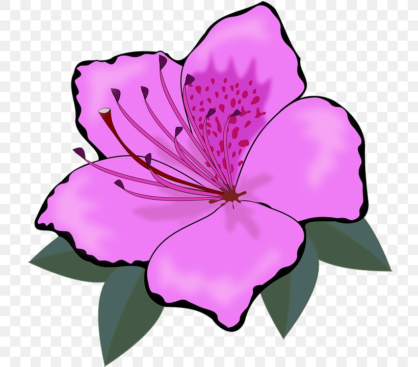 Flower Clip Art, PNG, 720x720px, Flower, Annual Plant, Cut Flowers, Flora, Floral Design Download Free