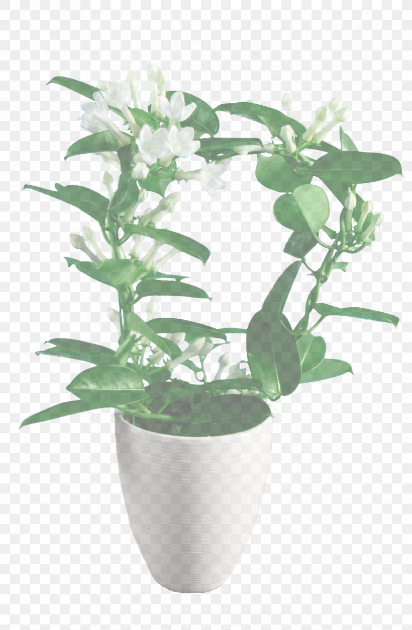 Flower Flowering Plant Flowerpot Plant Houseplant, PNG, 1216x1856px, Flower, Anthurium, Dendrobium, Flowering Plant, Flowerpot Download Free