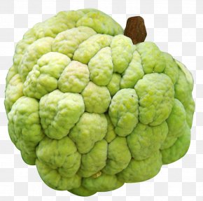 Custard Apple - Juice Sugar Apple Custard-apple Cherimoya PNG