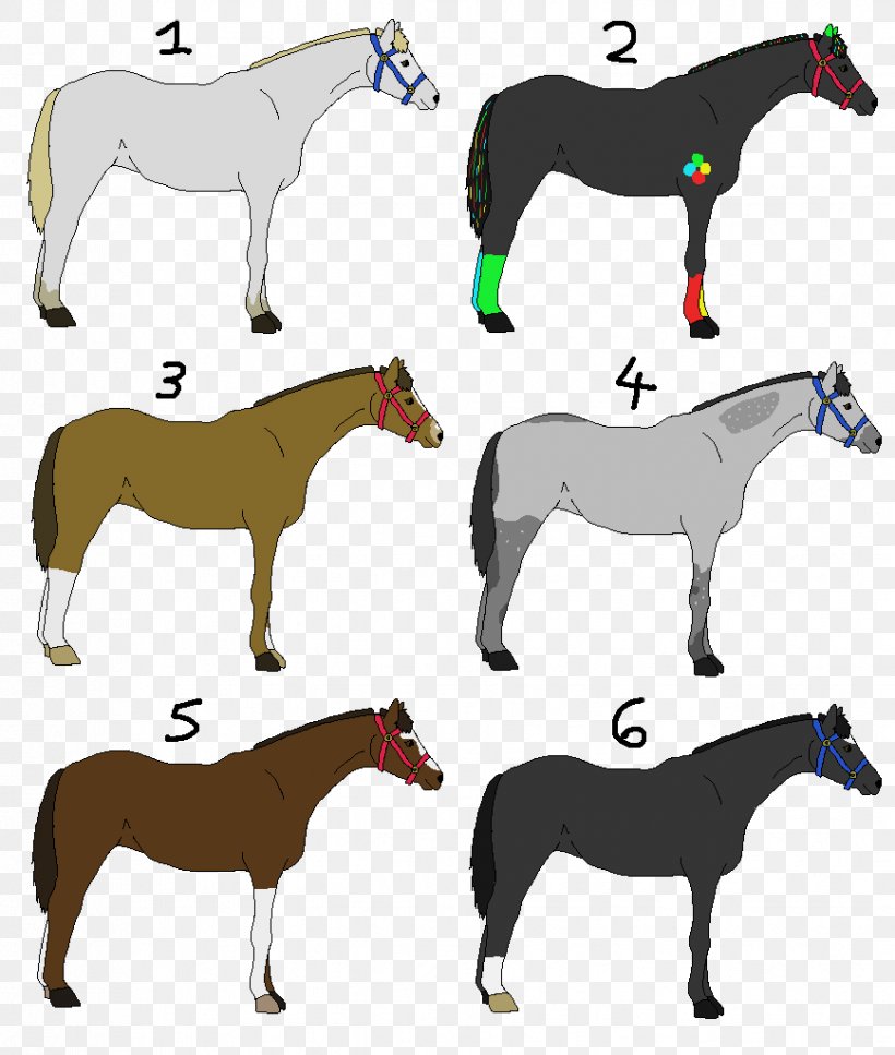 Mule Foal Horse Stallion Pony, PNG, 868x1024px, Mule, Animal Figure, Bridle, Colt, Donkey Download Free