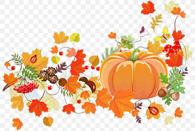 Orange, PNG, 800x554px, Natural Foods, Autumn, Leaf, Orange, Plant Download Free