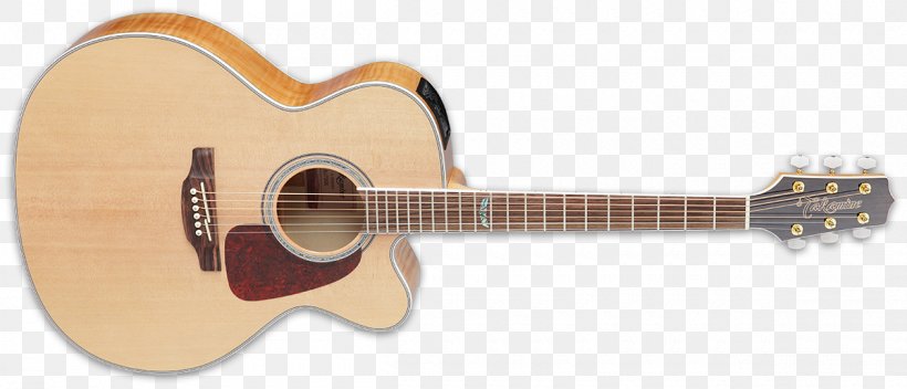 Twelve-string Guitar Takamine GJ72CE Acoustic-electric Guitar Cutaway Takamine Guitars, PNG, 1200x516px, Watercolor, Cartoon, Flower, Frame, Heart Download Free