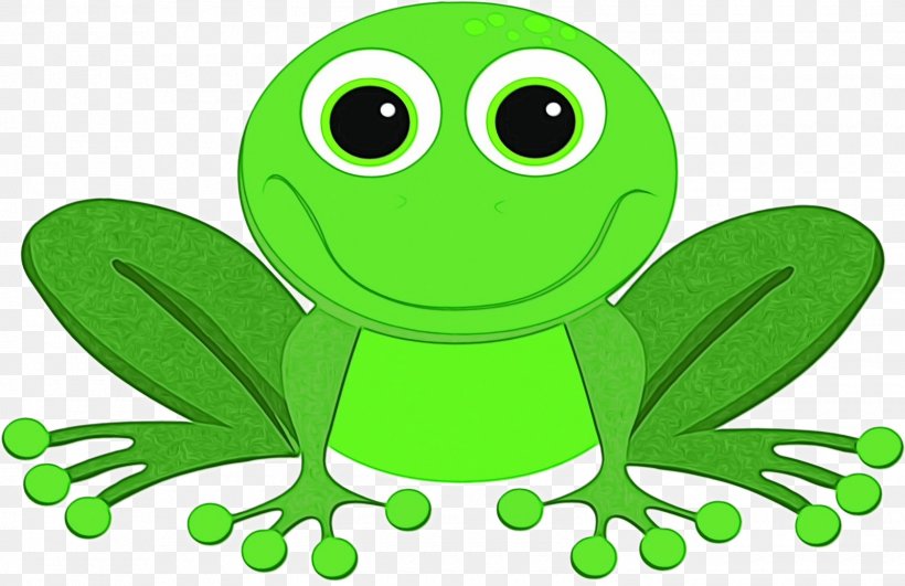 Green Frog True Frog Cartoon Clip Art, PNG, 1600x1038px, Watercolor, Cartoon, Frog, Green, Hyla Download Free