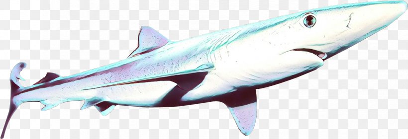 Shark, PNG, 1223x419px, Cartoon, Cartilaginous Fish, Fin, Fish, Lamnidae Download Free