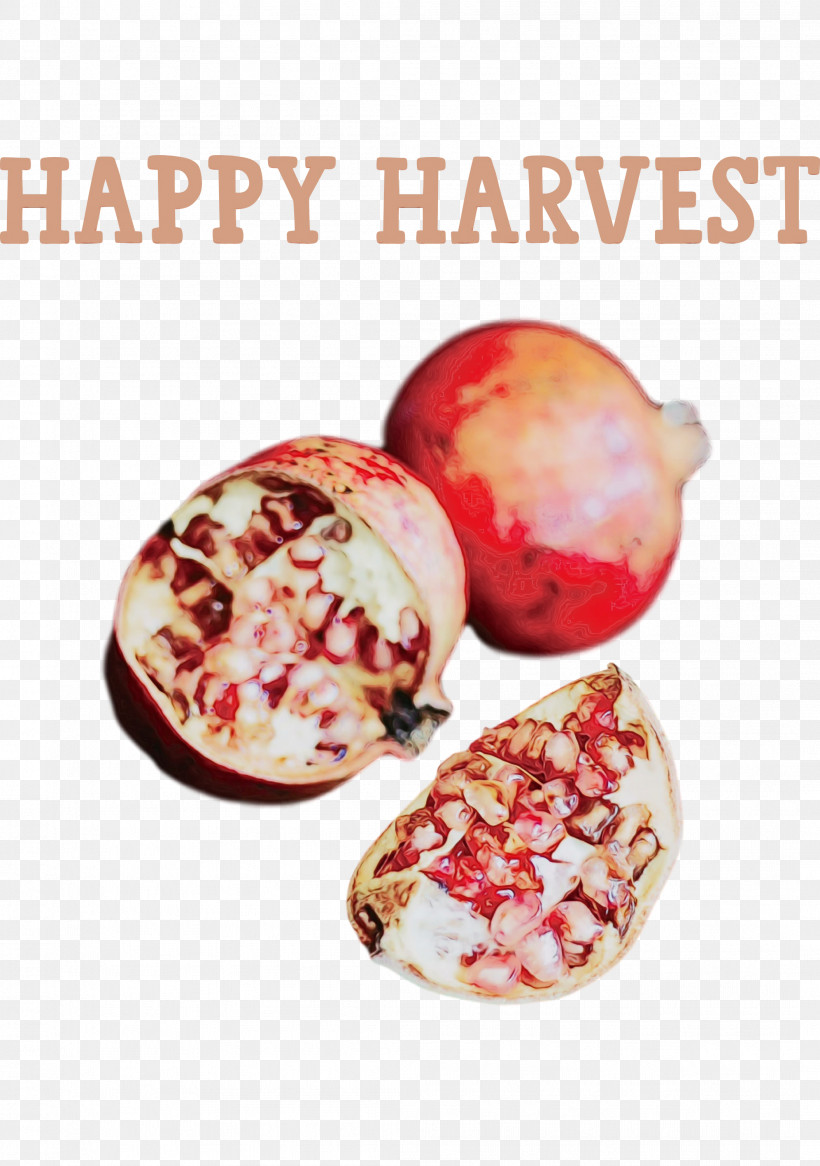 Superfood Cranberry Pomegranate / M Pomegranate / M Pomegranate, PNG, 2108x3000px, Happy Harvest, Cranberry, Fruit, Harvest Time, Paint Download Free