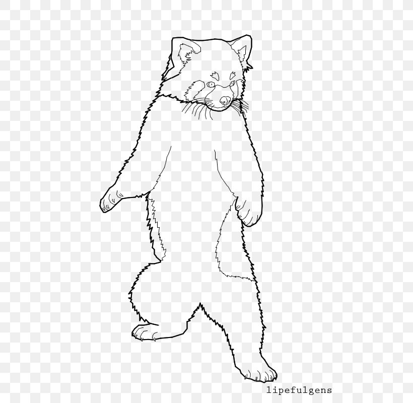 Whiskers Cat /m/02csf Line Art Bear, PNG, 537x800px, Whiskers, Area, Art, Artwork, Bear Download Free