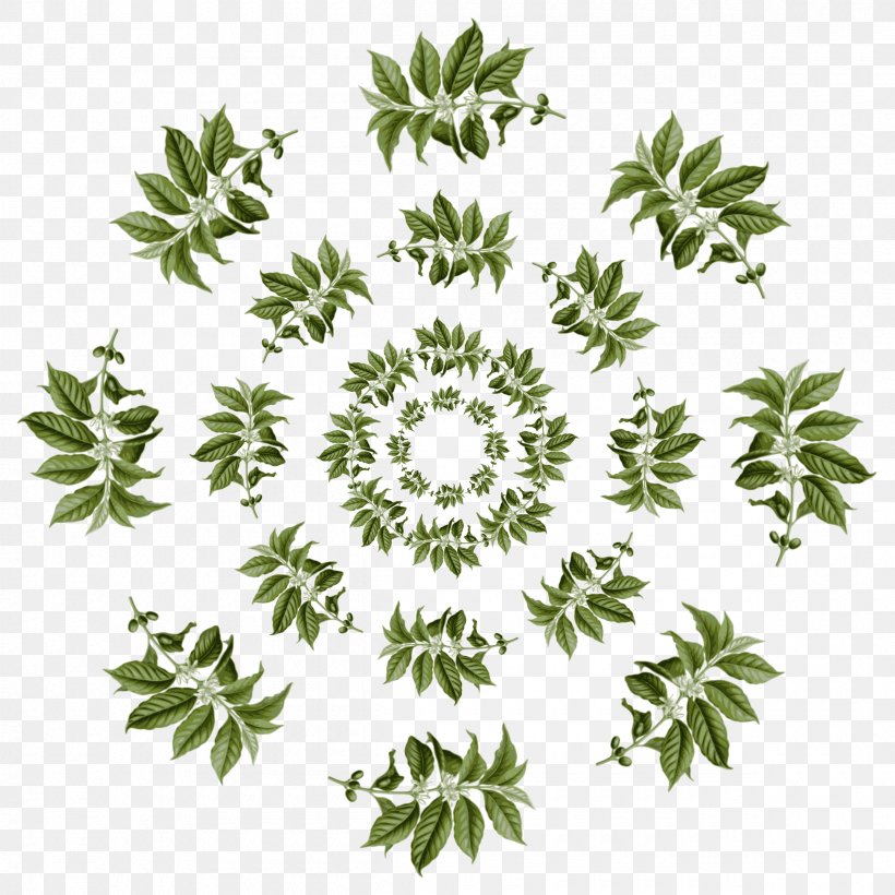 Arabica Coffee Leaf Coffee Tea Leaves Pattern, PNG, 2400x2400px, Coffee, Arabica Coffee, Branch, Coffea, Coffee Tea Leaves Download Free