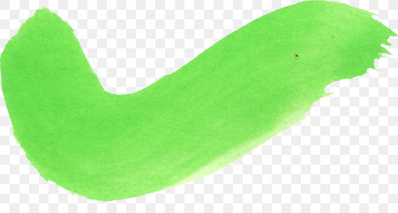 Leaf, PNG, 974x523px, Leaf, Grass, Green, Organism Download Free