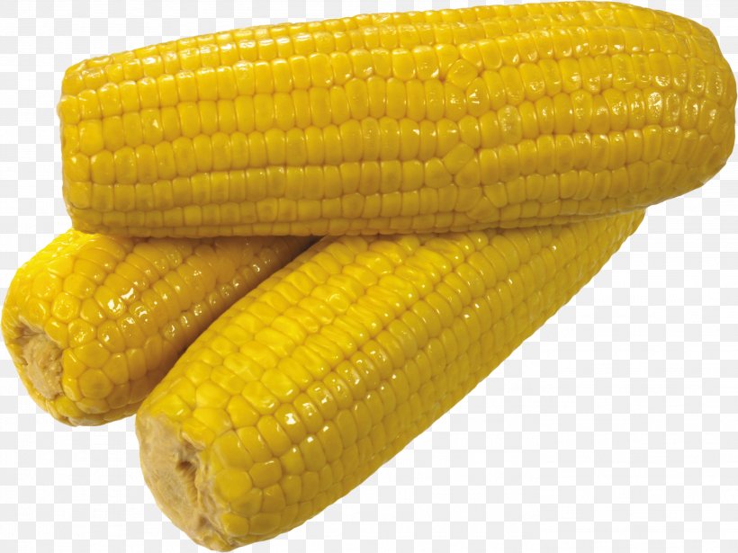 Maize Sweet Corn Cornmeal Corn Tortilla Corn On The Cob, PNG, 2799x2102px, Corn On The Cob, Commodity, Corn Kernel, Corn Kernels, Corn Oil Download Free