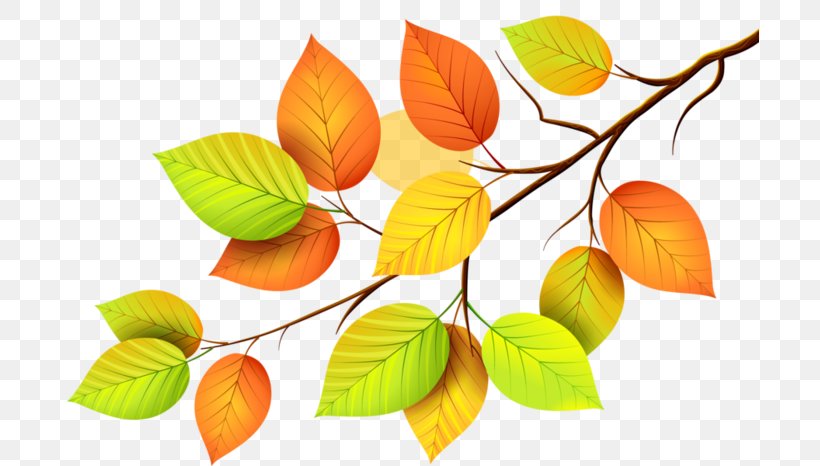 Paper Autumn Leaves Leaf, PNG, 699x466px, Paper, Art, Askartelu, Autumn Leaves, Branch Download Free