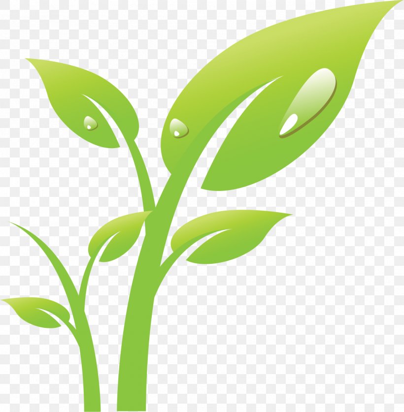 Tree, PNG, 1318x1346px, Tree, Branch, Commodity, Drawing, Flora Download Free